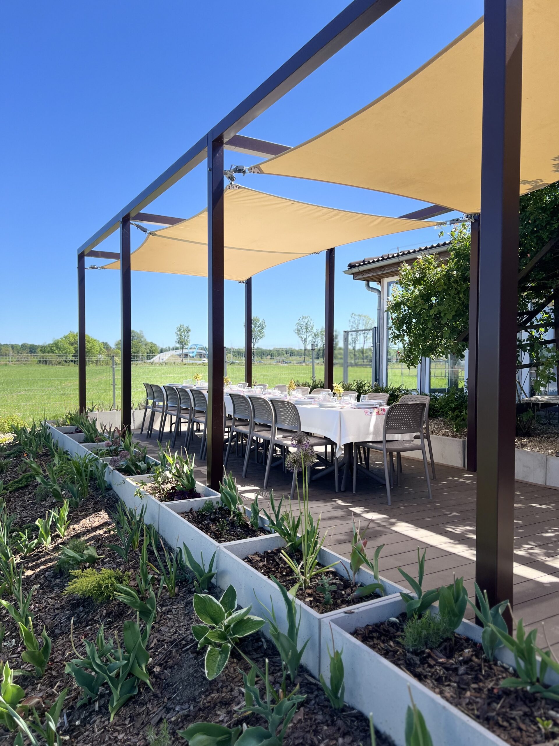 wesele paradis opole